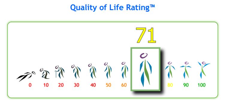 Quality of Life Score Rating