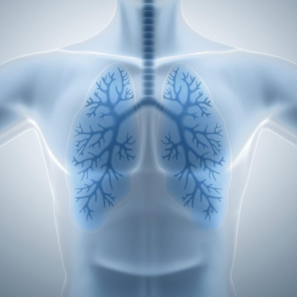 Clean-and-healthy-lungs