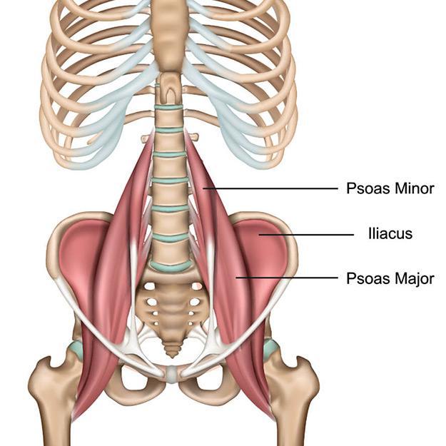PSOAS-MUSCLE-PAIN